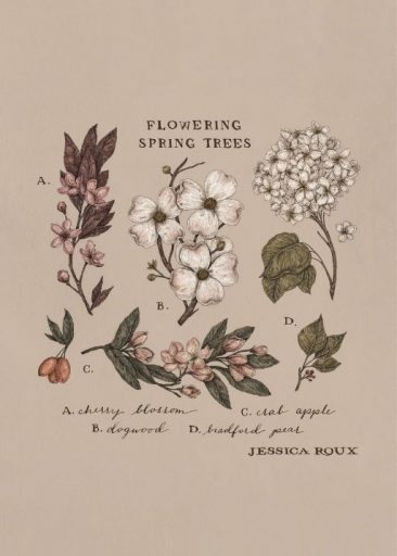 Flowering Spring Trees par Jessica Roux